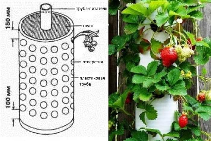 Вертикальная грядка для клубники своими руками из шин или сетки