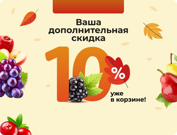 Ваша дополнительная скидка 10% уже в корзине!
