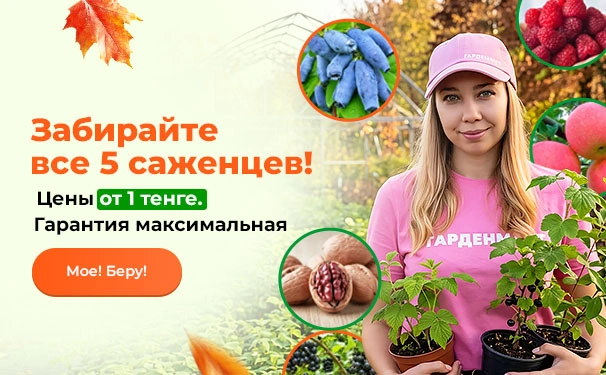 Забирайте все 5 саженцев! Цены от 1 тенге. Гарантия максимальная