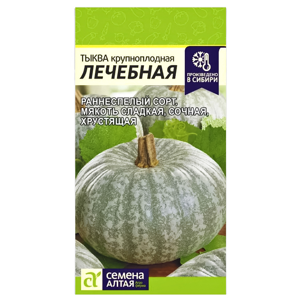 Тыква Лечебная Семена Алтая № 1