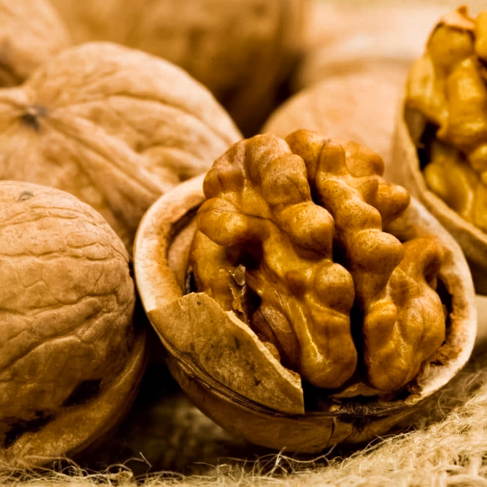 Орех грецкий крупноплодный Буковинская бомба № 1