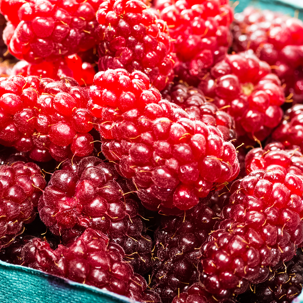 Ежемалина Букингем Тайберри № 1