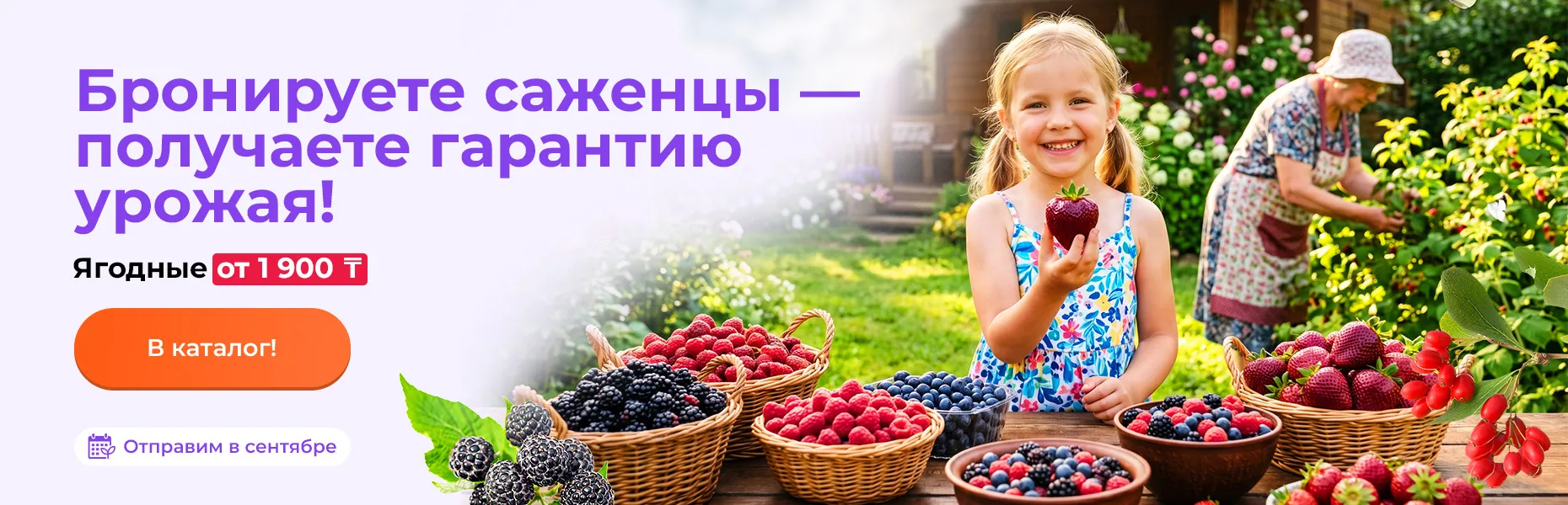 Бронируете саженцы — получаете гарантию урожая! Ягодные от 1900 тенге. Отправим в сентябре