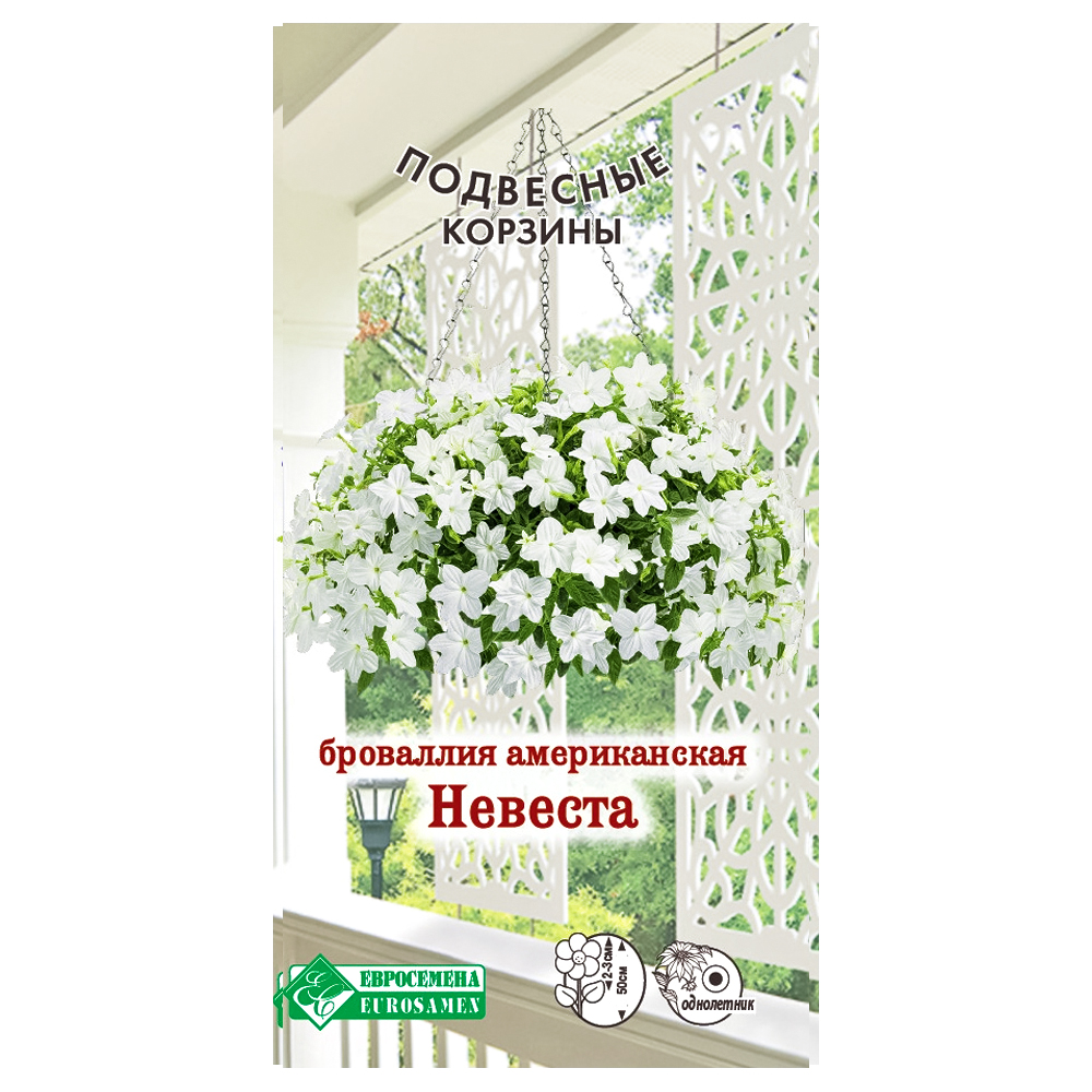 Броваллия американская Невеста Евросемена № 1