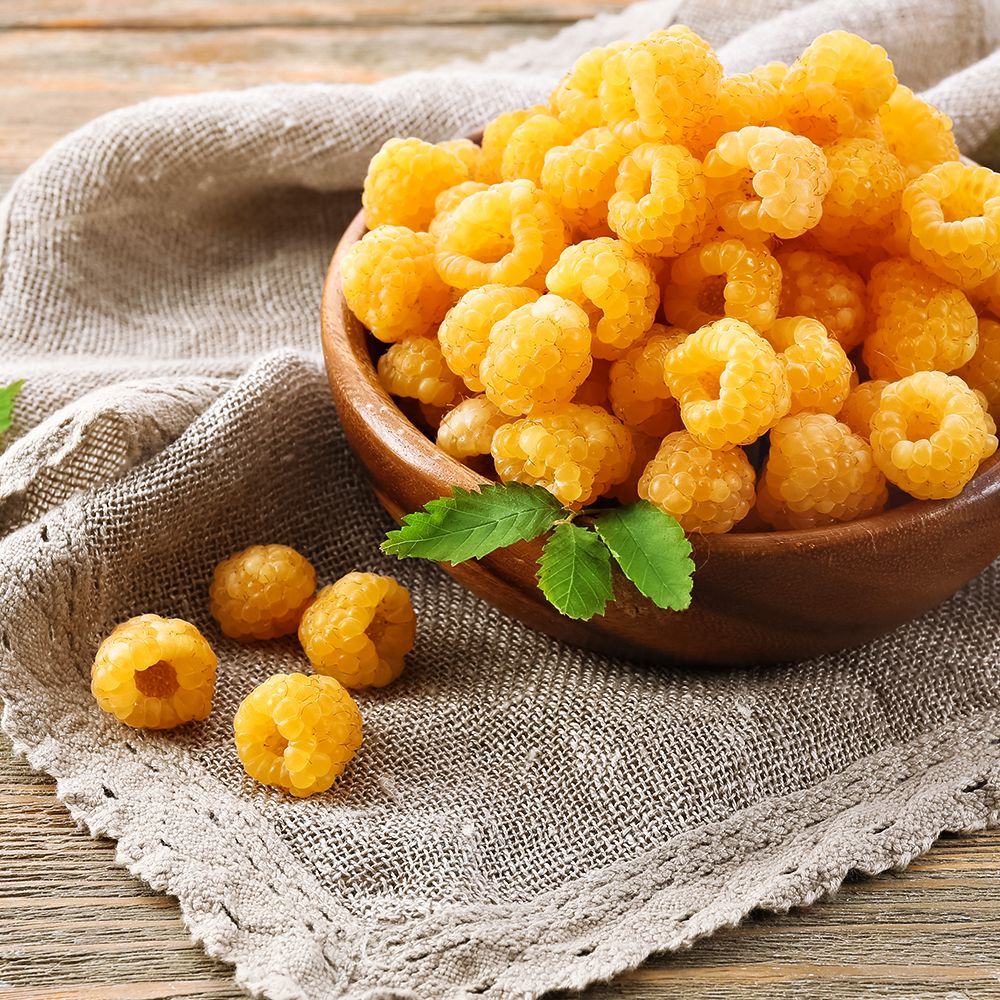 Малина ремонтантная для аллергиков Альт Голд № 1