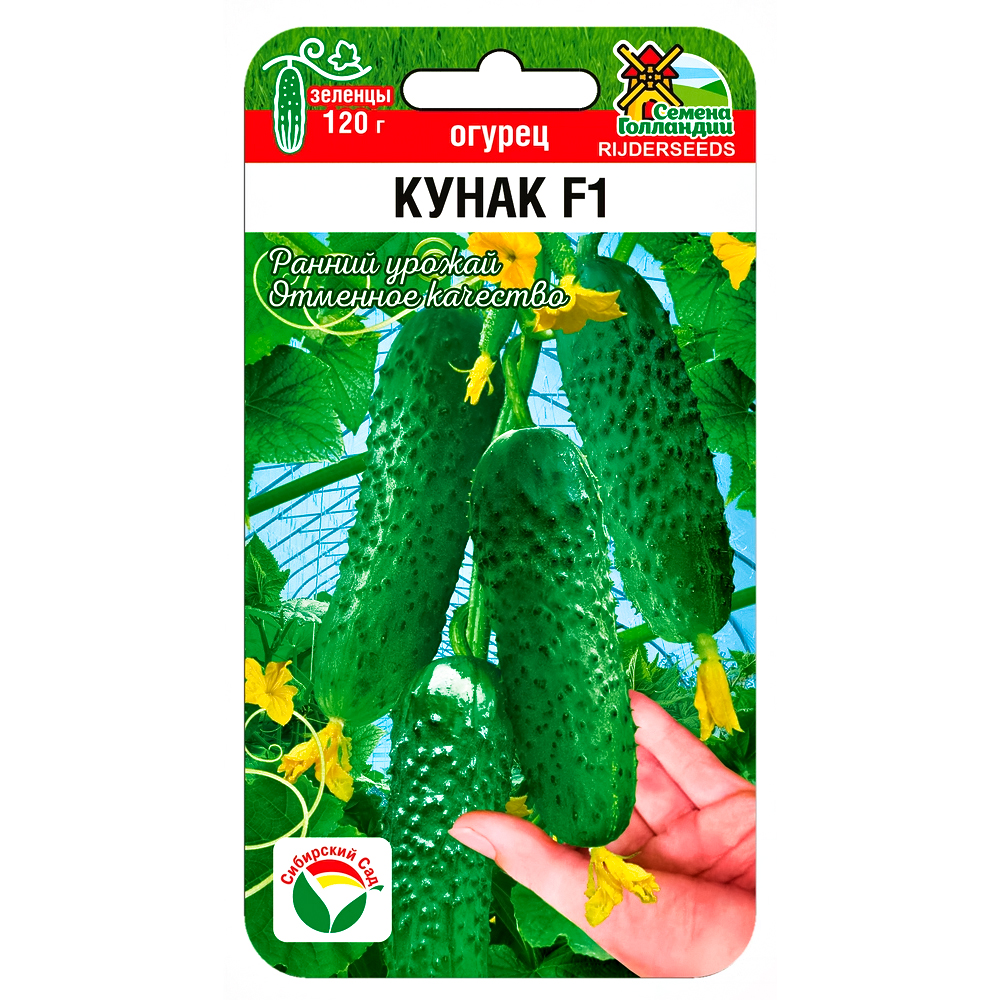 Огурец Кунак F1 Сибирский сад № 1