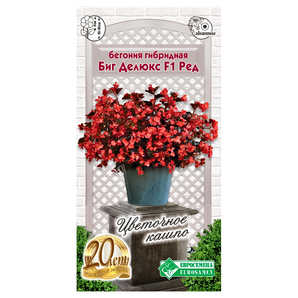 Бегония гибридная Биг Делюкс Ред F1 Евросемена № 1