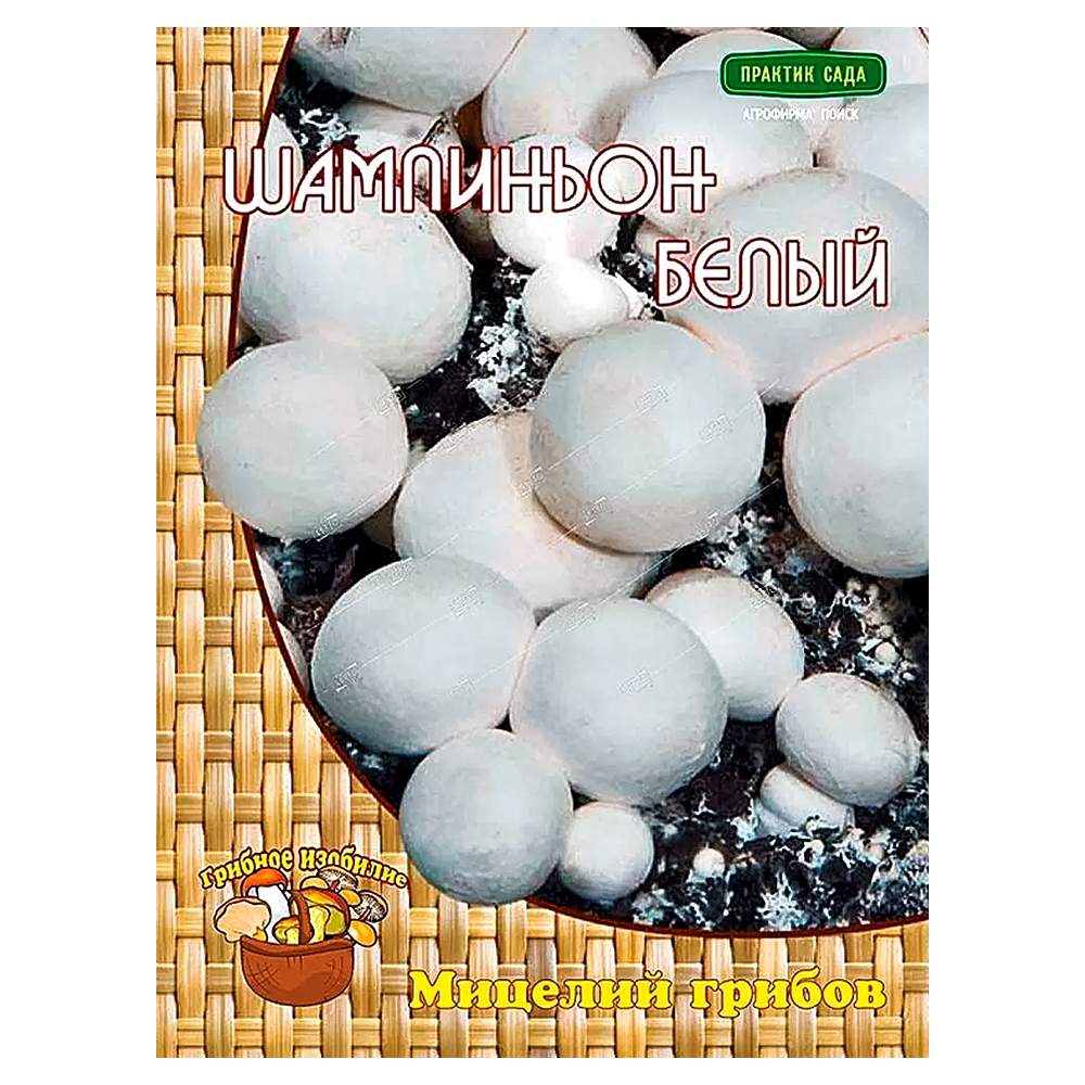 Шампиньон белый Поиск № 1