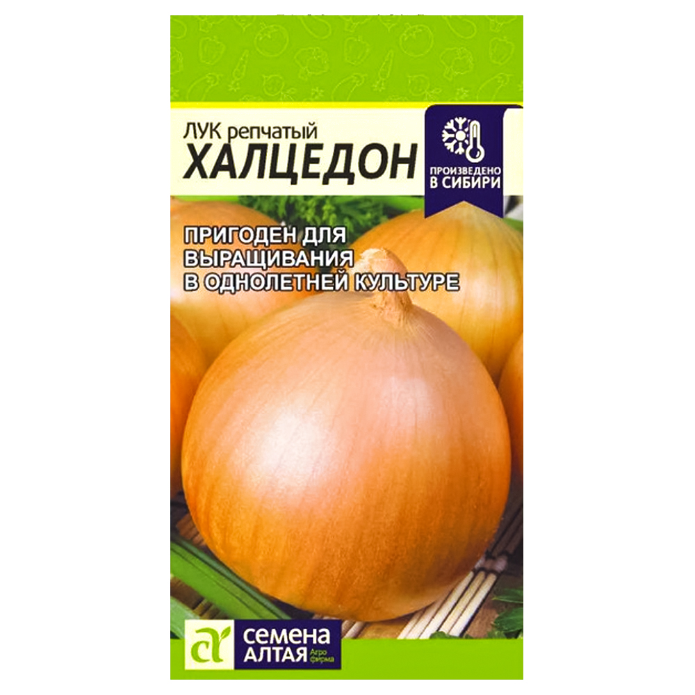 Лук репчатый Халцедон Семена Алтая № 1