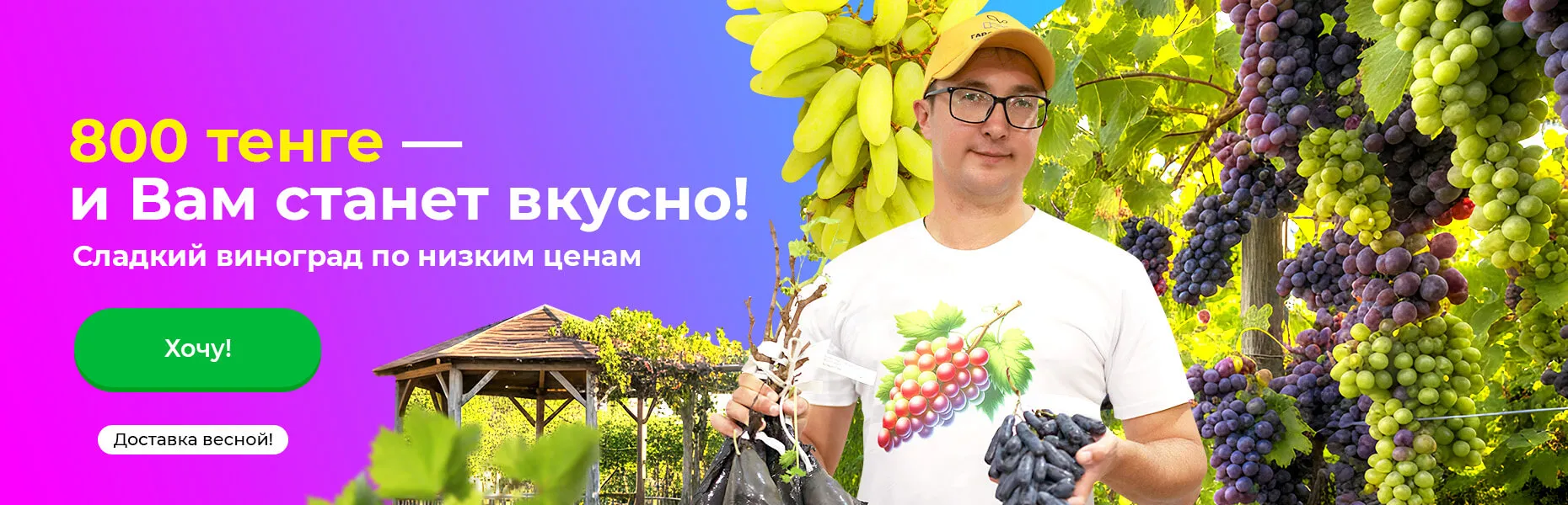800 тенге — и Вам станет вкусно! Сладкий виноград по низким ценам. Доставка весной!