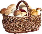 Мицелий грибов