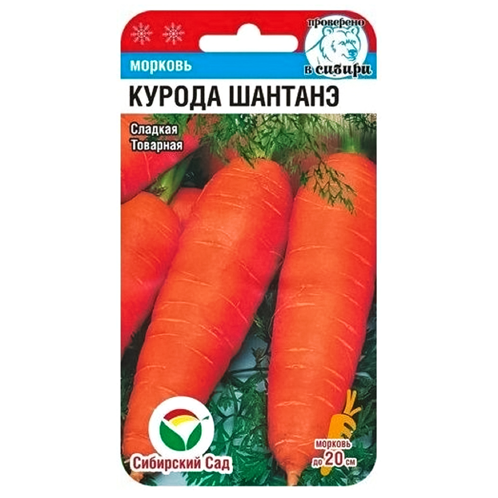 Морковь Курода Шантанэ Сибирский сад № 1