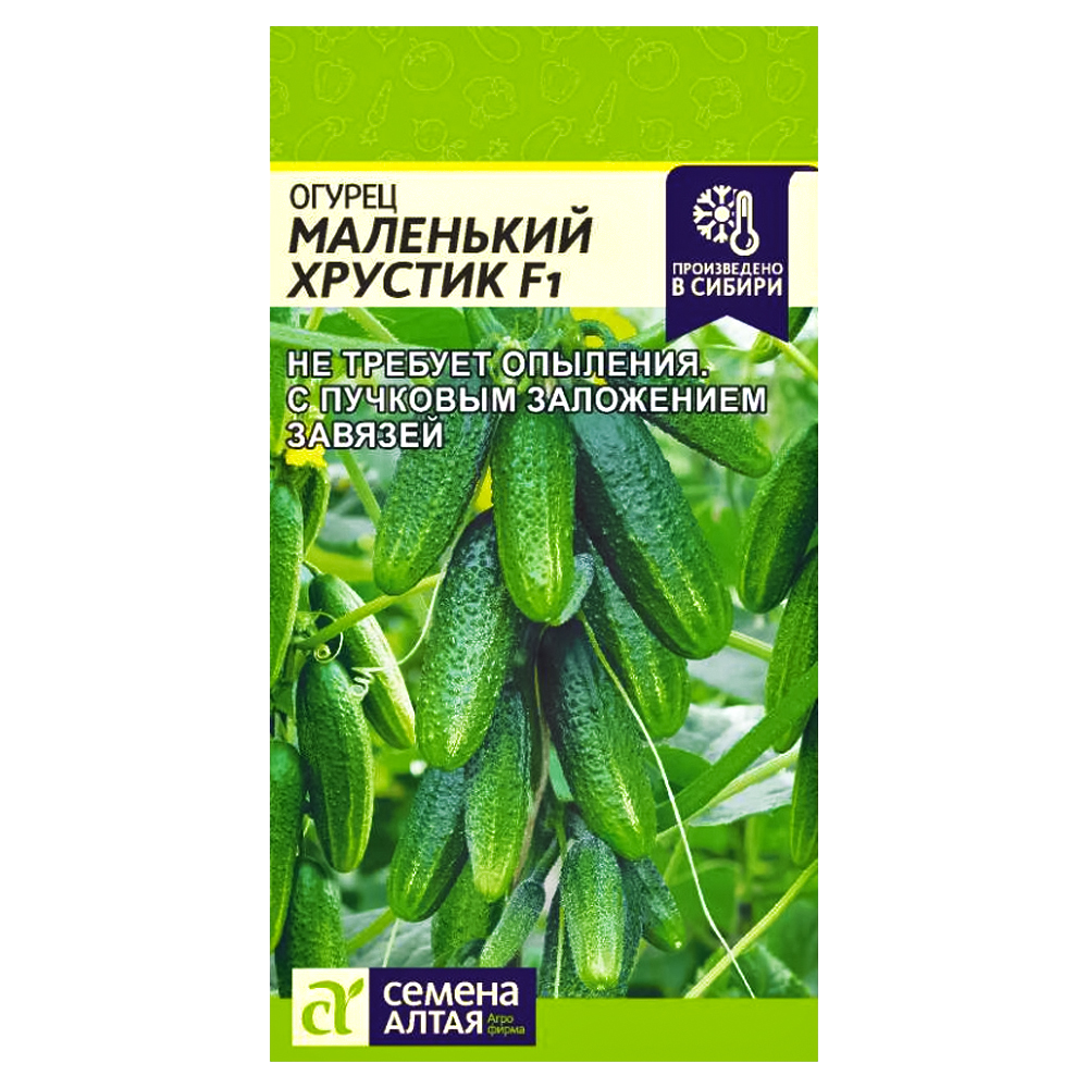 Огурец Маленький хрустик F1 Семена Алтая № 1