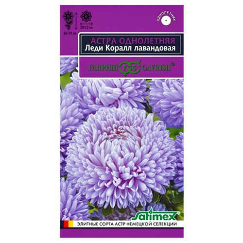 Астра Леди Корал лавандовая Гавриш № 1