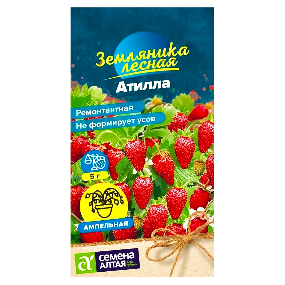 Земляника ремонтантная Атилла Семена Алтая № 1
