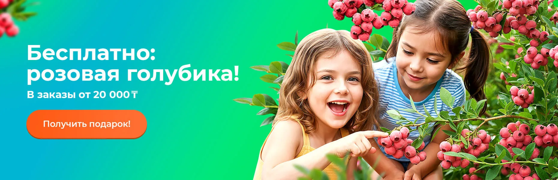 Бесплатно: розовая голубика! В заказы от 20 000 тенге