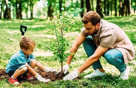 Какие деревья можно сажать в апреле? Какие деревья можно сажать в апреле?