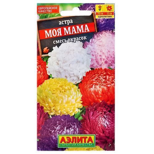 Астра пионовидная Моя мама, смесь окрасок Аэлита № 1