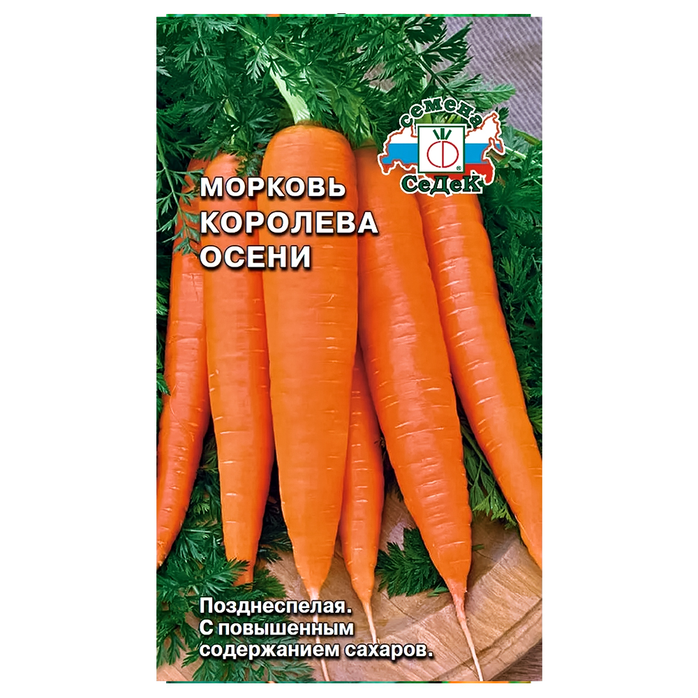 Морковь Королева осени Седек № 1