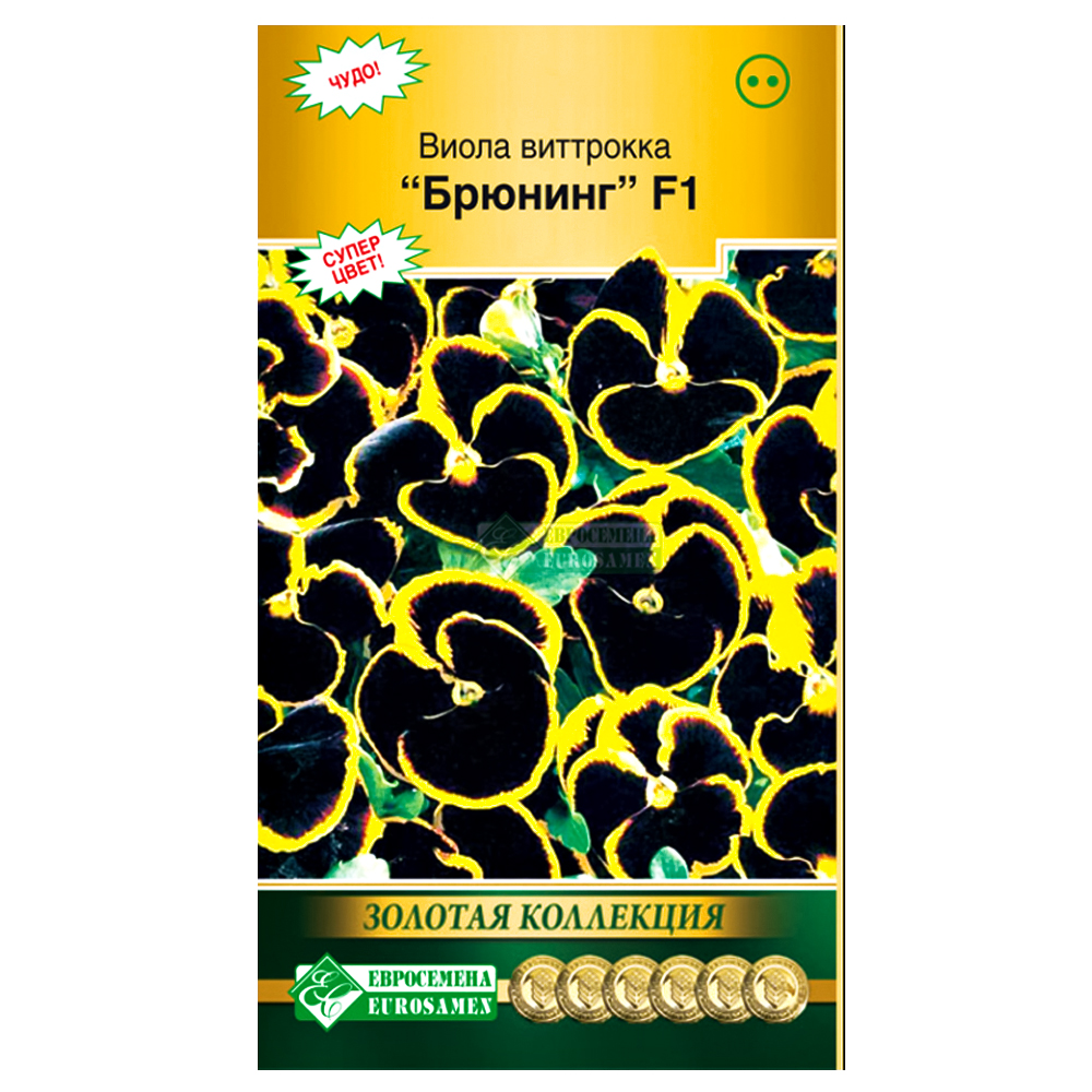 Виола Виттрока Брюнинг F1 Евросемена № 1