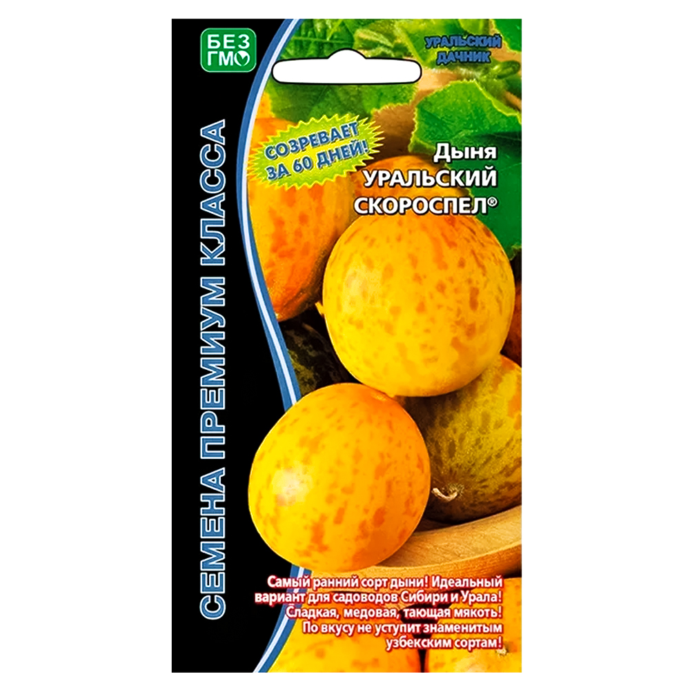 Дыня Уральский скороспел Уральский дачник № 1