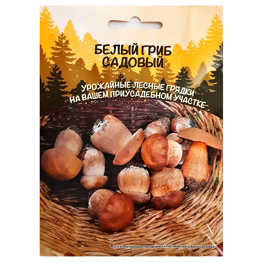 Белый гриб садовый Уральский дачник № 1