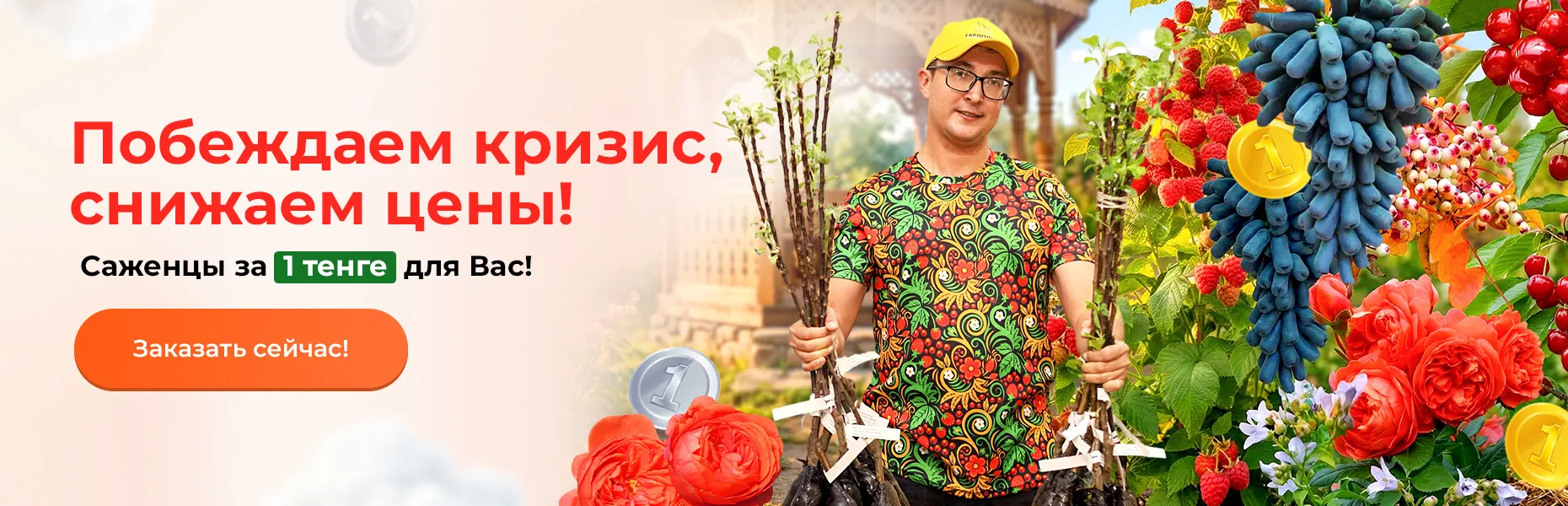 Побеждаем кризис, снижаем цены! Саженцы за 1 тенге для Вас!