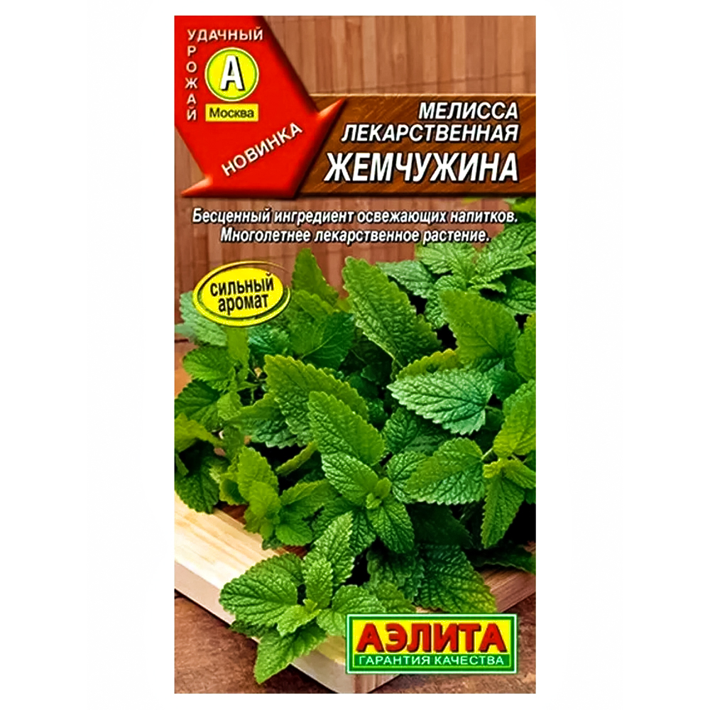 Мелисса лекарственная Жемчужина Аэлита № 1