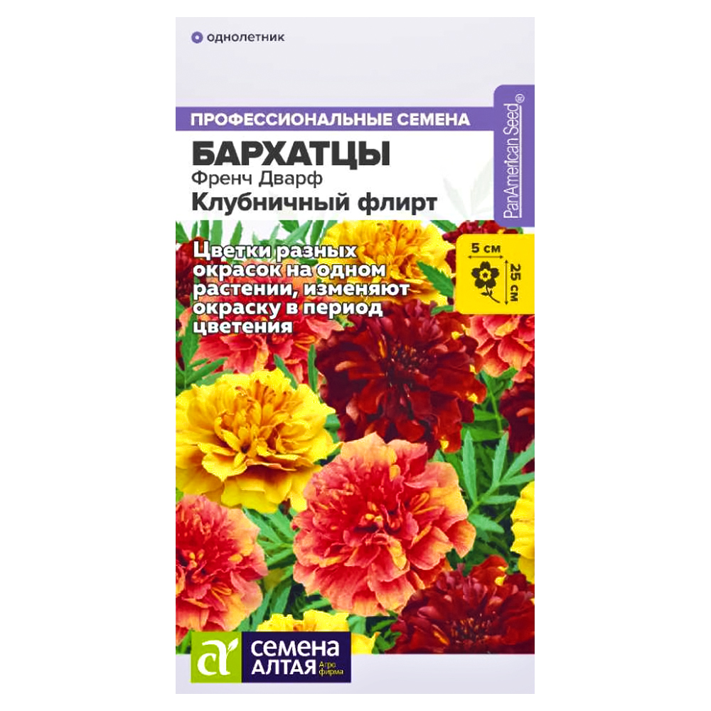 Бархатцы карликовые Френч Дварф Клубничный флирт Семена Алтая № 1