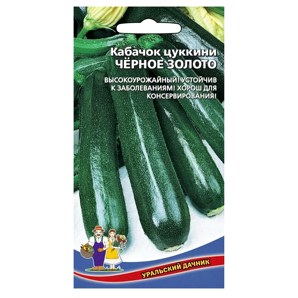 Кабачок Черное золото Уральский дачник № 1