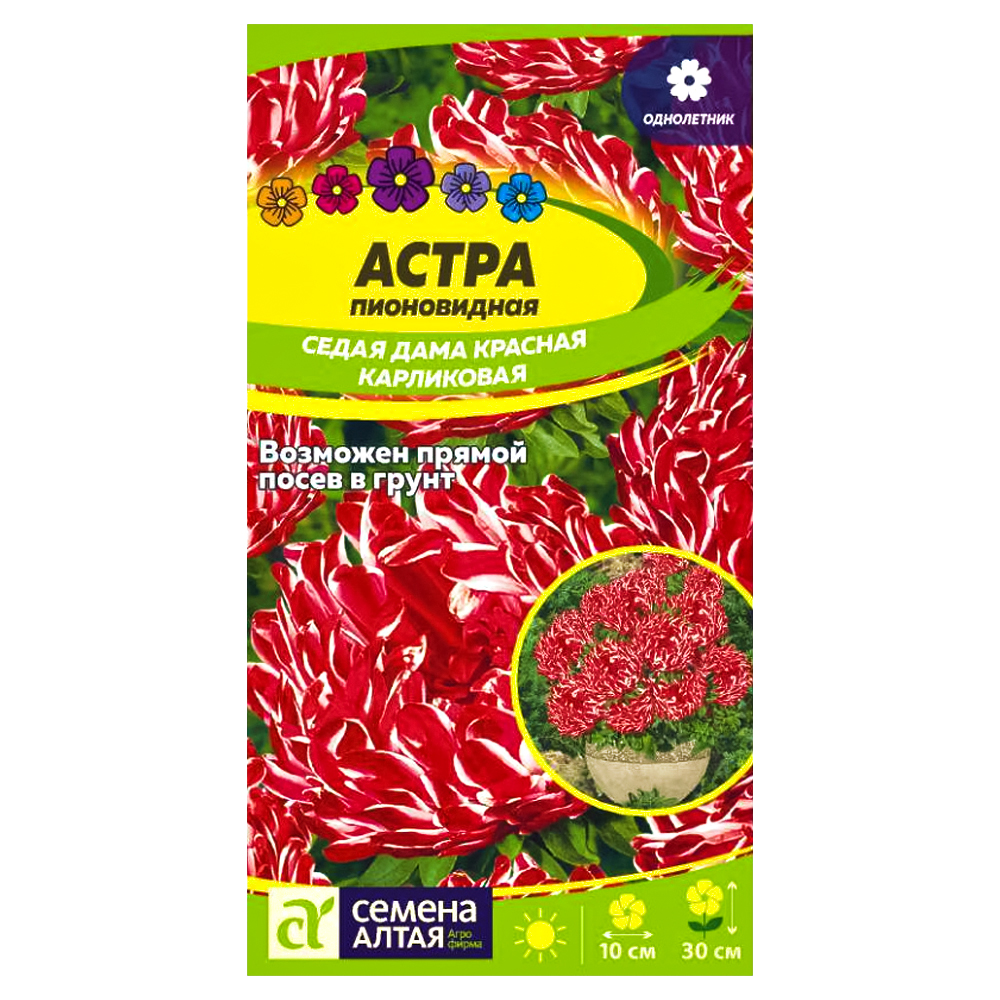 Астра пионовидная карликовая Седая дама красная Семена Алтая № 1