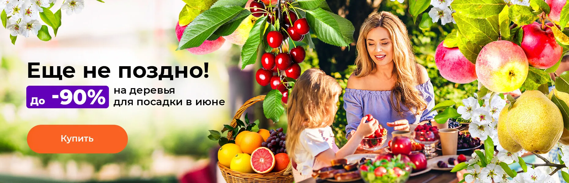 Еще не поздно! До -90% на деревья для посадки в июне
