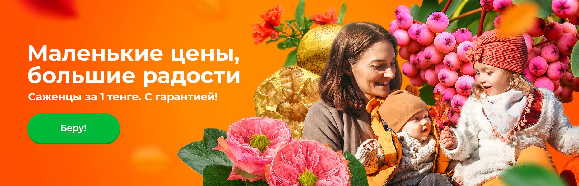 Маленькие цены, большие радости! Саженцы за 1 тенге. С гарантией!