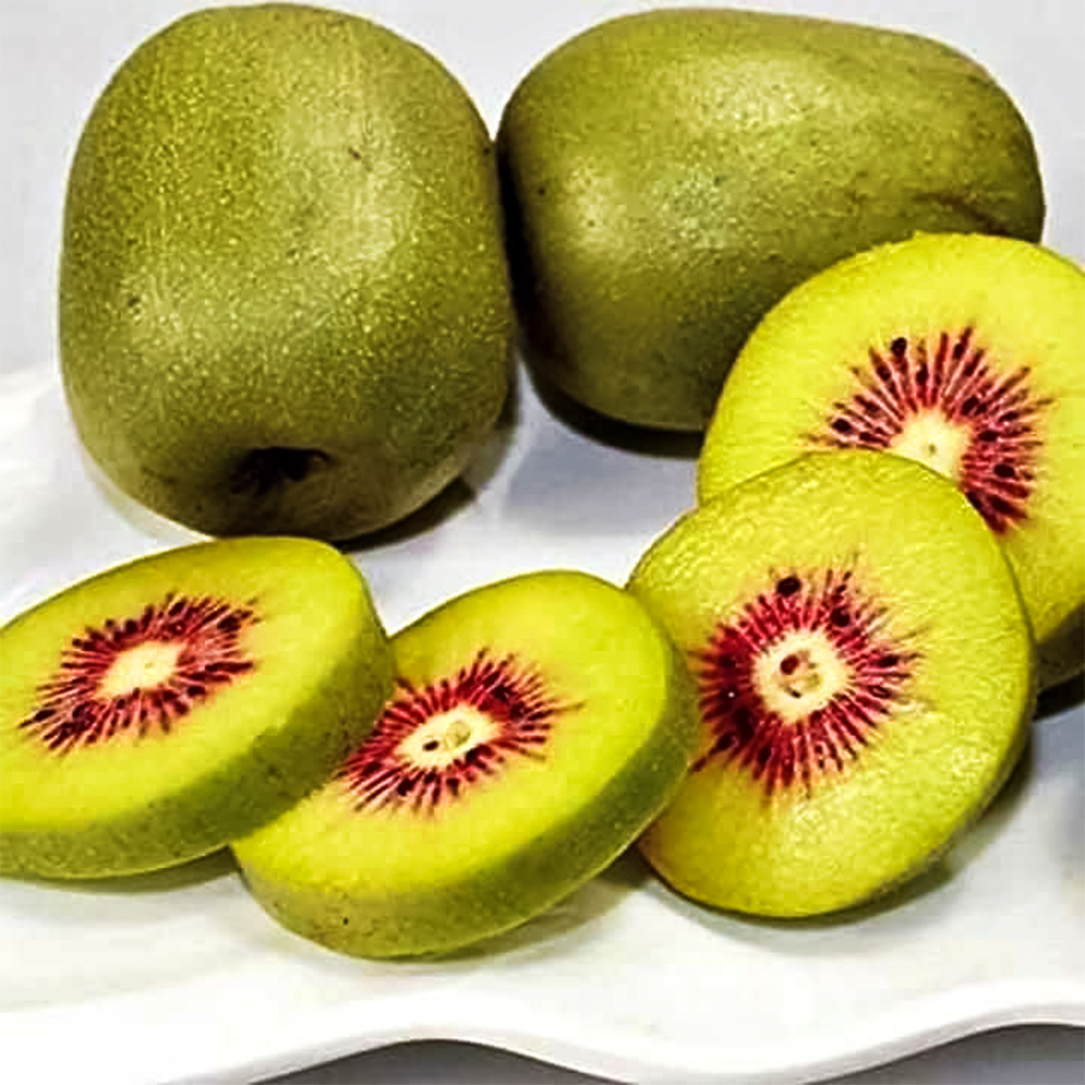 Актинидия самоплодная для комнаты Zespri Red № 1