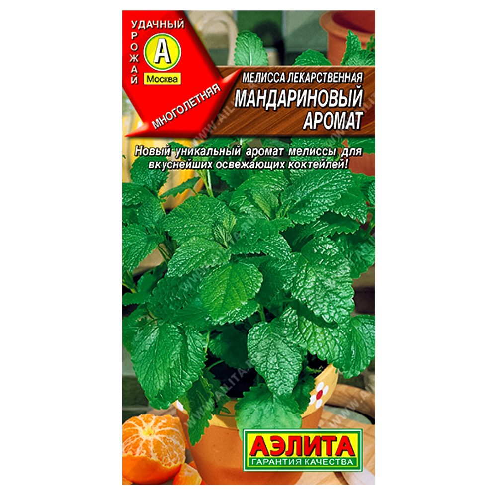 Мелисса Мандариновый аромат Аэлита № 1