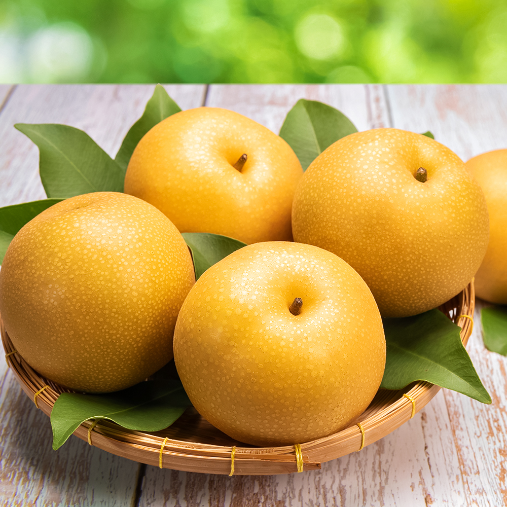 Яблоко-груша (груша японская) Нихоннаси № 1