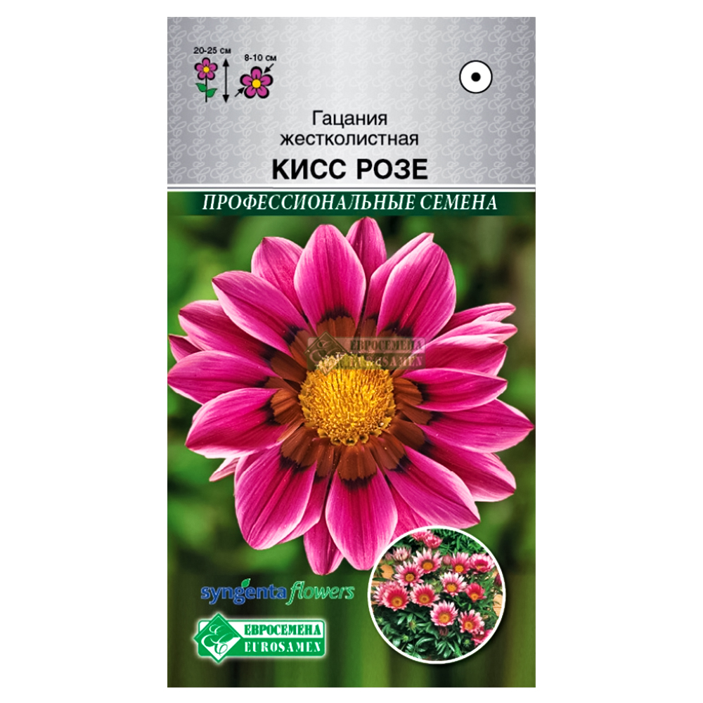 Гацания Кисс Розе Евросемена № 1
