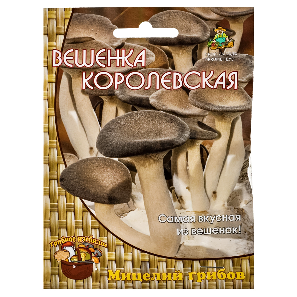 Вешенка Королевская Поиск № 1