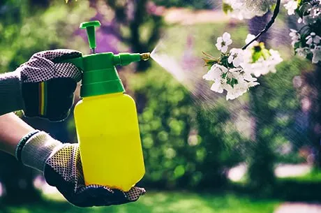 Гайд по весенней обработке сада