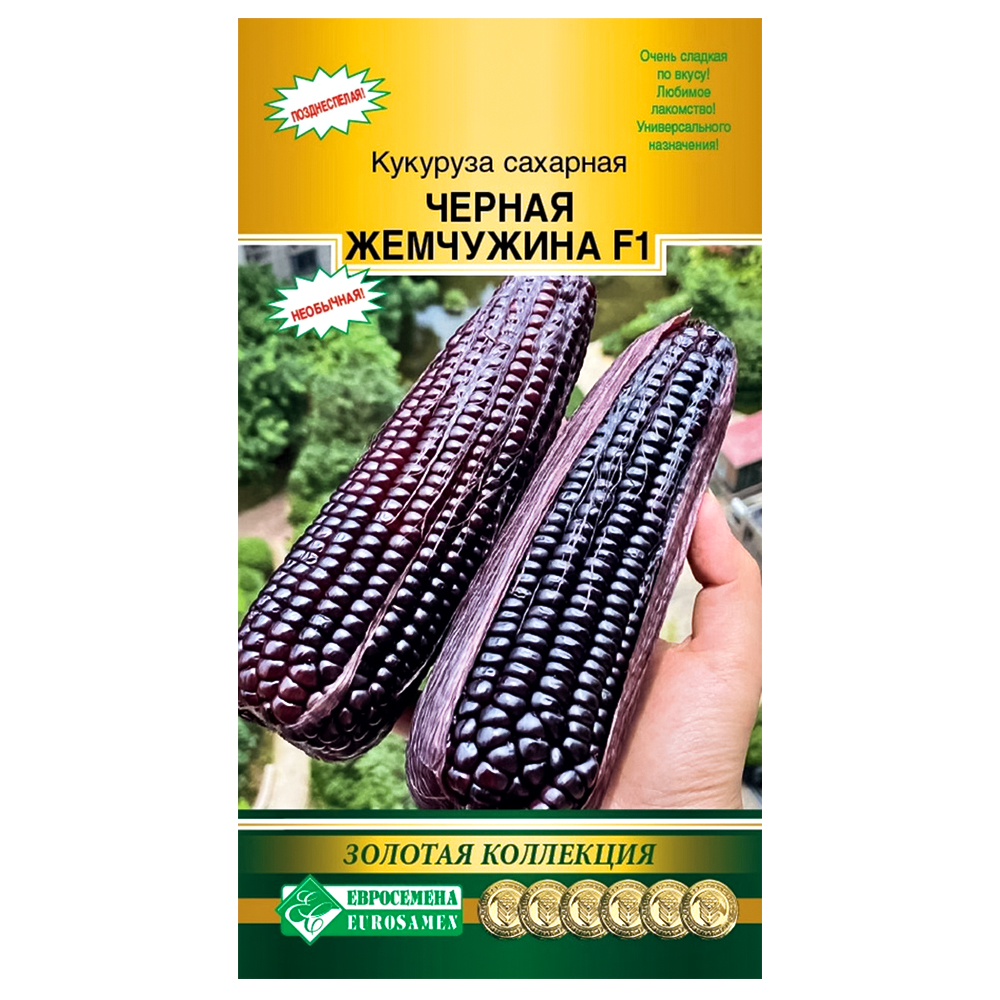 Кукуруза Черная жемчужина F1 Евросемена № 1