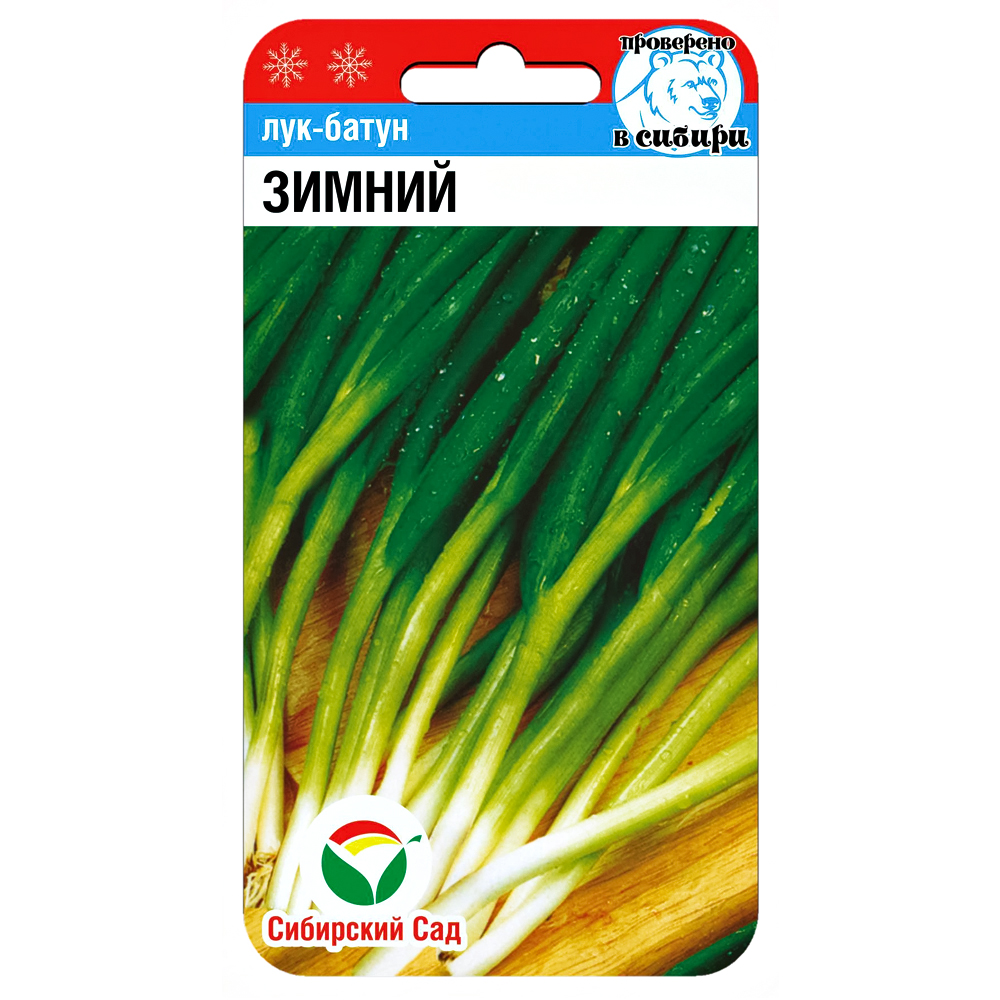 Лук батун Зимний Сибирский сад № 1
