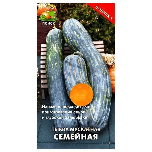 Тыква Семейная Поиск