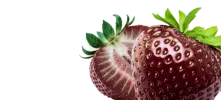 Земляника (клубника)