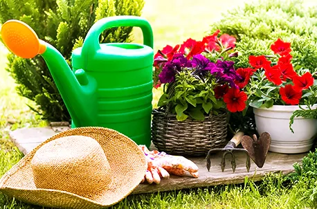 Лунный посевной календарь на лето 2025: что делать в огороде в июне, июле и августе?