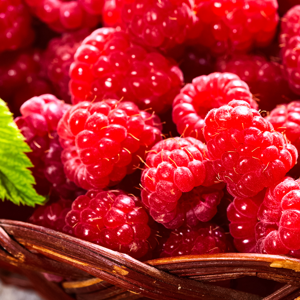 Малина ремонтантная малошипная Рафики № 1