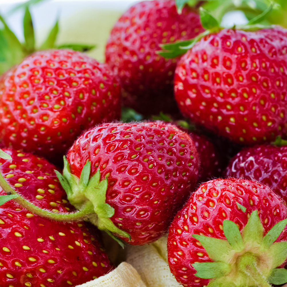 Земляника ремонтантная (крупноплодная) изысканного вкуса Амандин, 5 саж. № 1