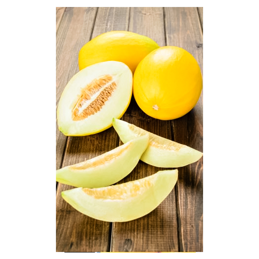 Дыня Уральский скороспел Уральский дачник