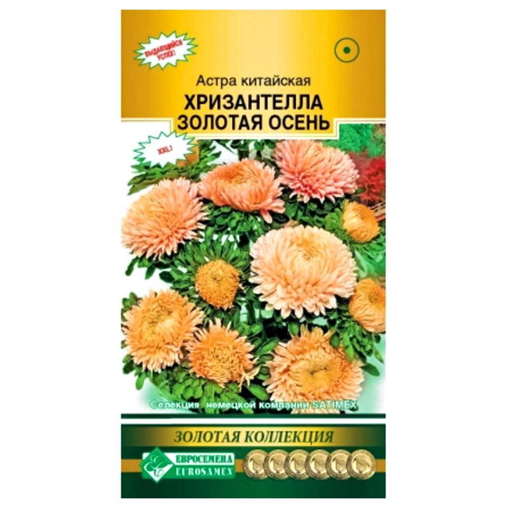 Астра китайская Хризантелла Золотая осень Евросемена № 1