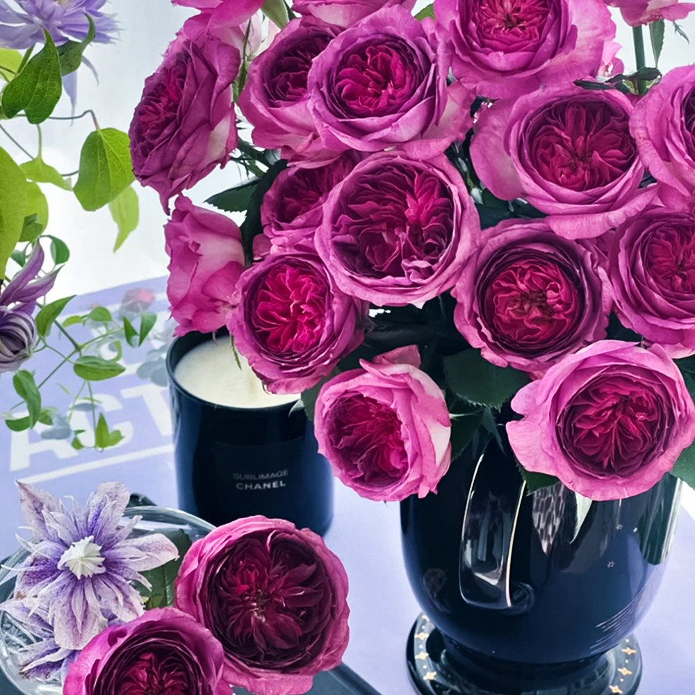 Роза флорибунда премиум Тьерри Маркс № 1