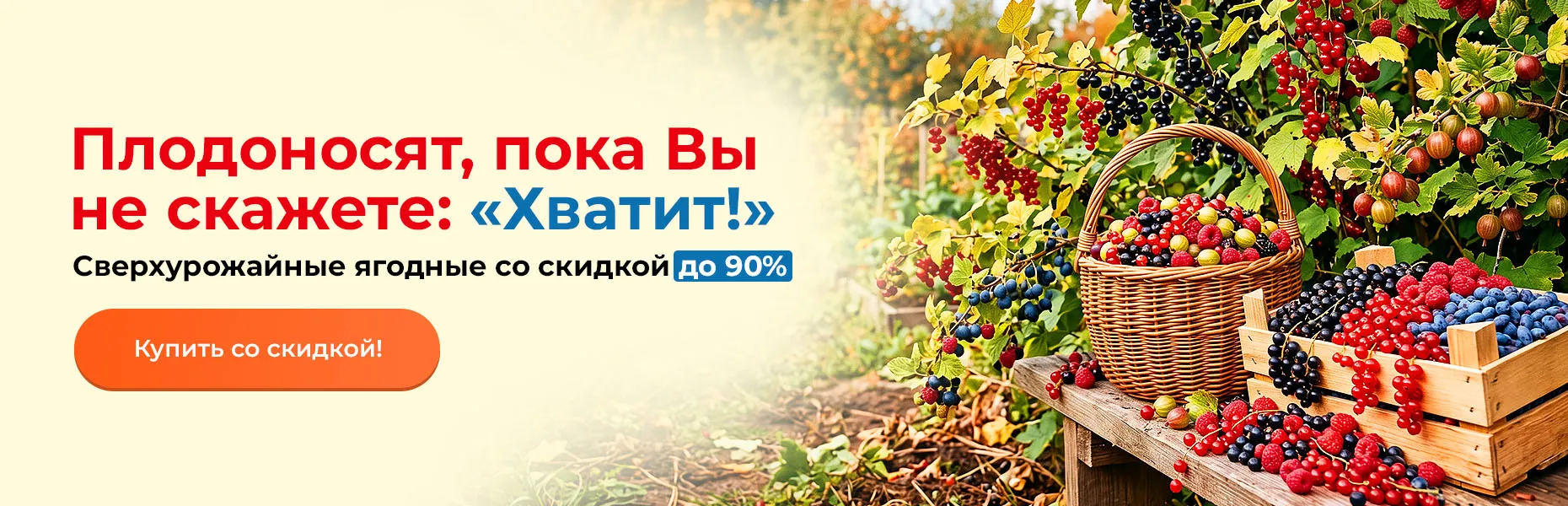 Плодоносят, пока Вы не скажете: «Хватит!». Сверхурожайные ягодные со скидкой до 90%